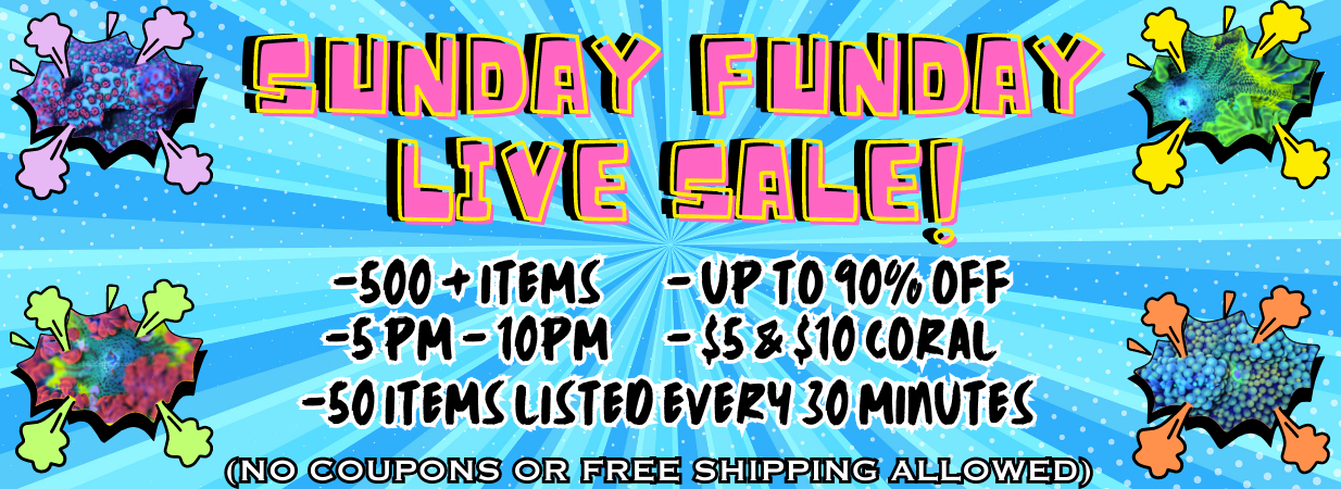 8:30pm Super Sunday Live Sale Items