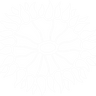 SaltCritters Anemone Decal - SaltCritters