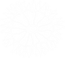 SaltCritters Anemone Decal - SaltCritters